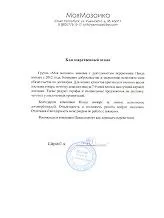 Рекомендательное письмо: Моя мозаика